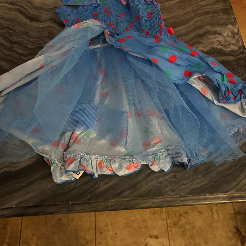 oodles Blue Dog Dress with Cherry Print